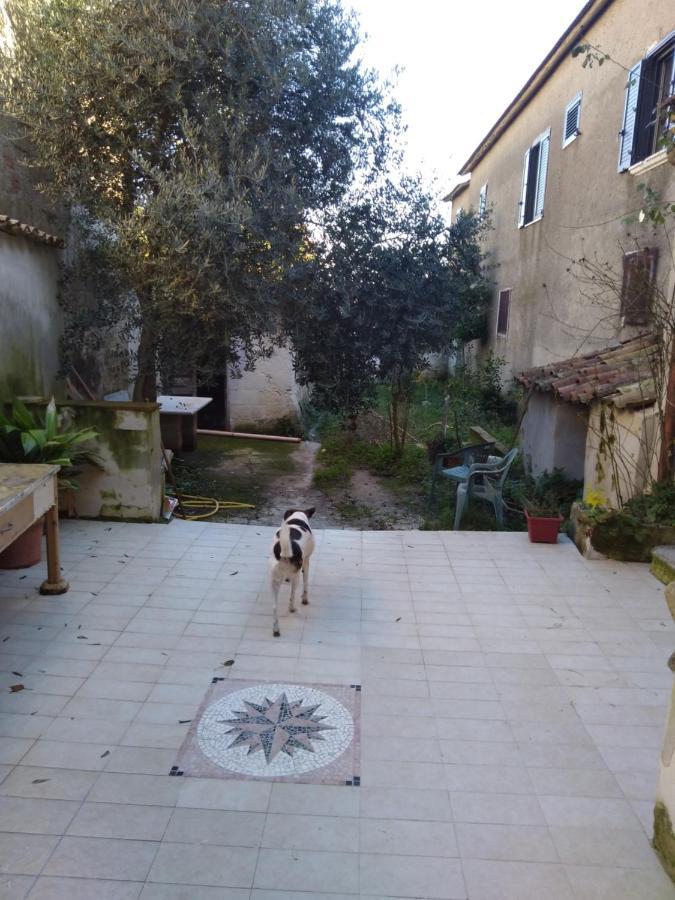Casa Vacanza Zia Ersilia Rotondi Buitenkant foto