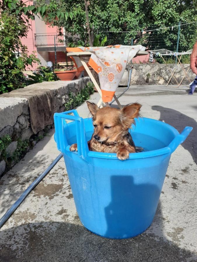 Casa Vacanza Zia Ersilia Rotondi Buitenkant foto