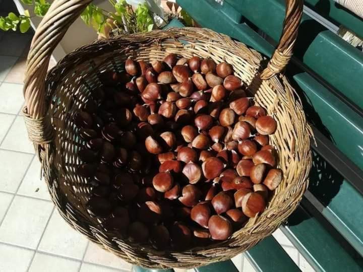 Casa Vacanza Zia Ersilia Rotondi Buitenkant foto