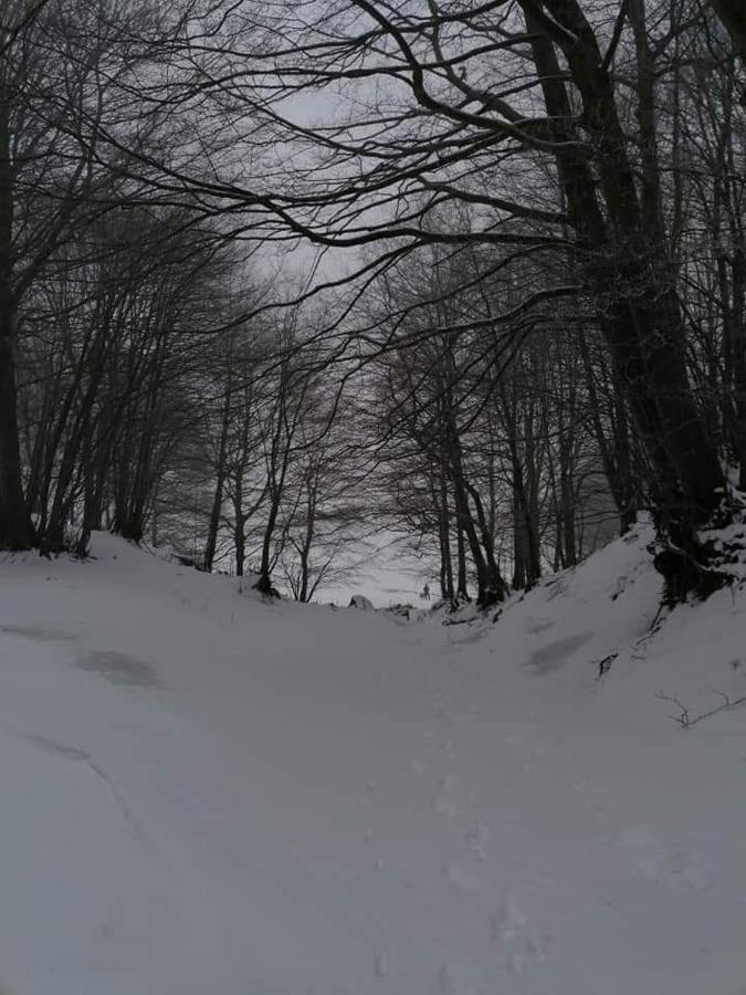 Casa Vacanza Zia Ersilia Rotondi Buitenkant foto