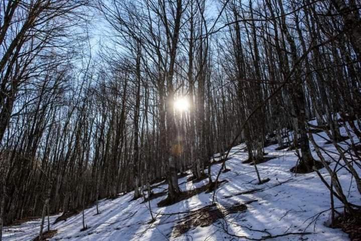 Casa Vacanza Zia Ersilia Rotondi Buitenkant foto