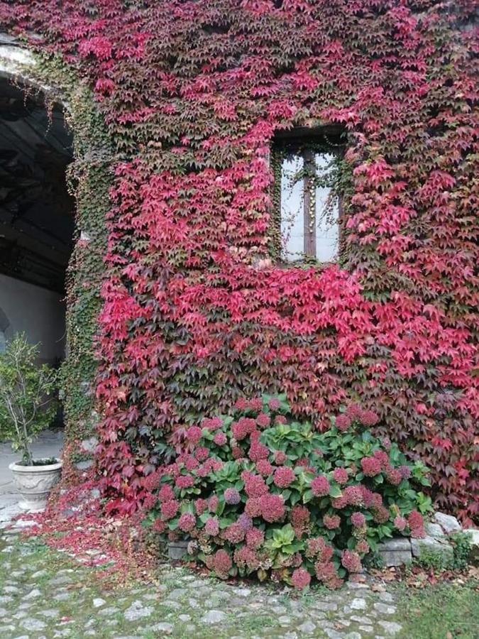 Casa Vacanza Zia Ersilia Rotondi Buitenkant foto